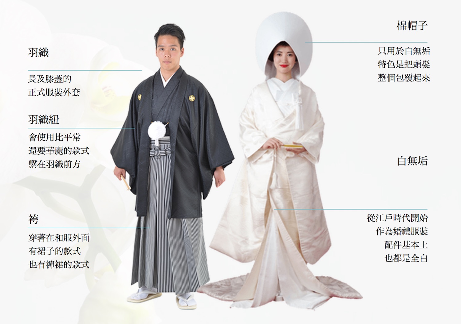 日本旅游 三 传统和服结婚照摄影体验 Tsuinteru